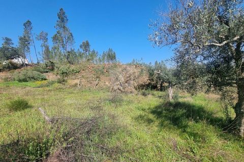 Helårsgrund i Castelo Branco, Castelo Branco, Castelo Branco - € 14.000 | Ref: H776 - foto 13