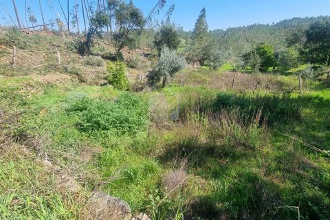 Helårsgrund i Castelo Branco, Castelo Branco, Castelo Branco - € 14.000 | Ref: H776 - foto 14