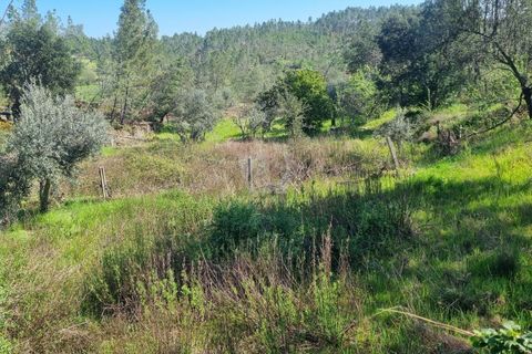 Helårsgrund i Castelo Branco, Castelo Branco, Castelo Branco - € 14.000 | Ref: H776 - foto 15