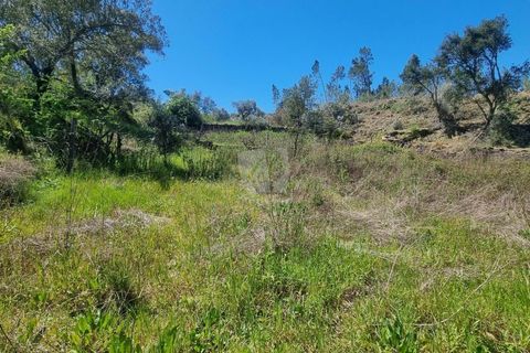 Helårsgrund i Castelo Branco, Castelo Branco, Castelo Branco - € 14.000 | Ref: H776 - foto 19