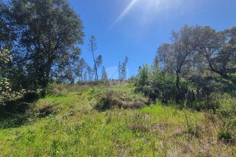 Helårsgrund i Castelo Branco, Castelo Branco, Castelo Branco - € 14.000 | Ref: H776 - foto 21