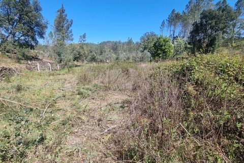 Helårsgrund i Castelo Branco, Castelo Branco, Castelo Branco - € 14.000 | Ref: H776 - foto 23