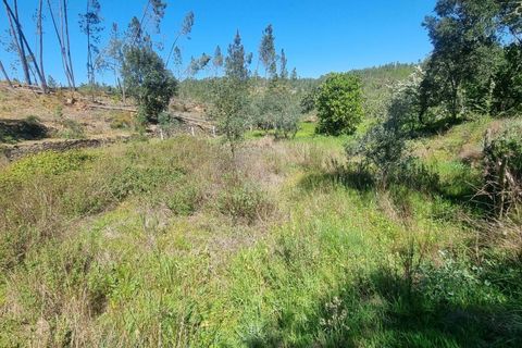 Helårsgrund i Castelo Branco, Castelo Branco, Castelo Branco - € 14.000 | Ref: H776 - foto 24