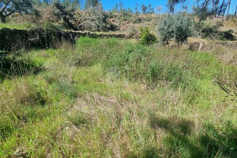 Helårsgrund i Castelo Branco, Castelo Branco, Castelo Branco - € 14.000 | Ref: H776 - foto 25
