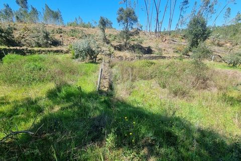 Helårsgrund i Castelo Branco, Castelo Branco, Castelo Branco - € 14.000 | Ref: H776 - foto 26