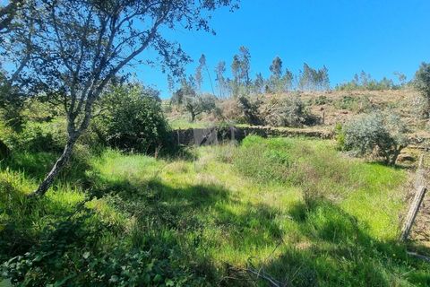Helårsgrund i Castelo Branco, Castelo Branco, Castelo Branco - € 14.000 | Ref: H776 - foto 27