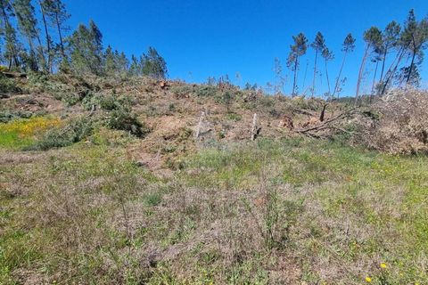 Helårsgrund i Castelo Branco, Castelo Branco, Castelo Branco - € 14.000 | Ref: H776 - foto 29
