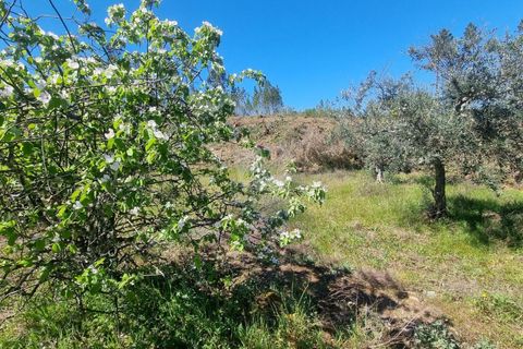 Helårsgrund i Castelo Branco, Castelo Branco, Castelo Branco - € 14.000 | Ref: H776 - foto 34