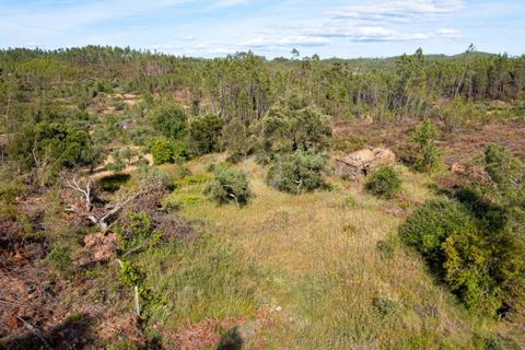 Helårsgrund i Castelo Branco, Castelo Branco, Castelo Branco - € 14.000 | Ref: H776 - foto 2