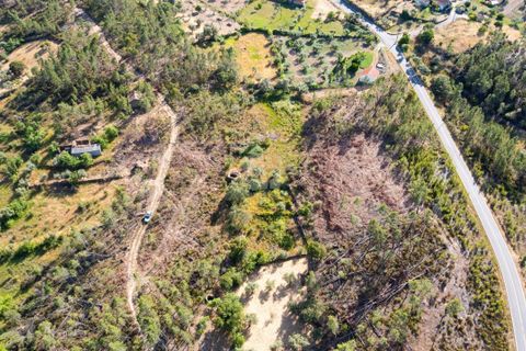 Helårsgrund i Castelo Branco, Castelo Branco, Castelo Branco - € 14.000 | Ref: H776 - foto 35