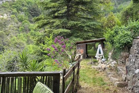Terra a Castellar, Alpes-Maritimes, Castellar - € 195.000 | Ref: 86940915 - foto 6