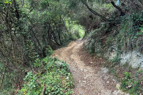 Terra a Castellar, Alpes-Maritimes, Castellar - € 195.000 | Ref: 86940915 - foto 15