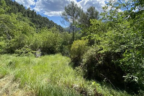 Terra a Castellar, Alpes-Maritimes, Castellar - € 195.000 | Ref: 86940915 - foto 17