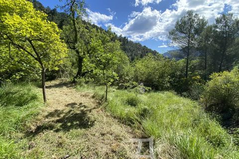 Terra a Castellar, Alpes-Maritimes, Castellar - € 195.000 | Ref: 86940915 - foto 20