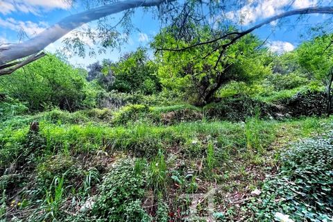 Terreno en Castellar, Alpes-Maritimes, Castellar - € 239.000 | Ref: 86940915 - photo 17