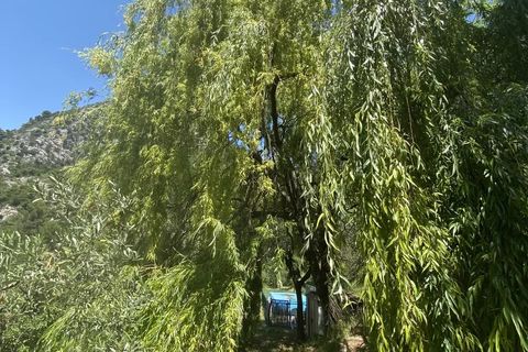 Terreno en Castellar, Alpes-Maritimes, Castellar - € 239.000 | Ref: 86940915 - photo 24