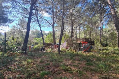 Terra a Le Beausset, Var, Le Beausset - € 43.000 | Ref: 12213FZ1139 - foto 4
