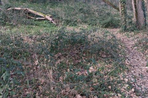 Villa a Merigny, Indre, Merigny - € 26.000 | Ref: 3011443288 - foto 20