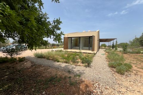 Dorfhaus in Llubi, Mallorca, Llubi - € 4.200/Monat | Ref: R23396 - Foto 25