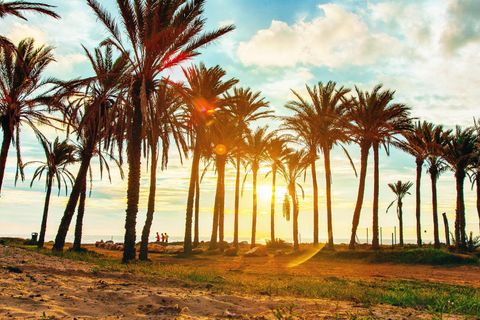 Leilighet i Punta Prima, Alicante, Punta Prima - € 174 900 | Ref: R-65890 - foto 50
