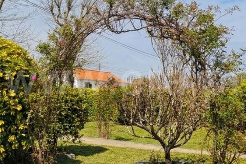 Villa a Horta, Faial, Horta - € 265.000 | Ref: 374260080 - foto 16