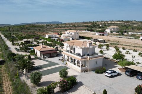 Villa i Pinoso, Alicante, Pinoso - € 649.950 | Ref: HVH-496541 - foto 4