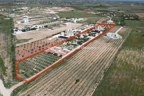 Villa i Pinoso, Alicante, Pinoso - € 649.950 | Ref: HVH-496541 - foto 5