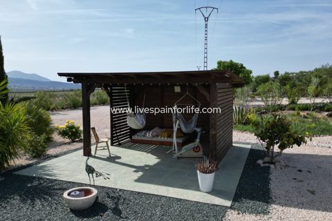 Villa i Pinoso, Alicante, Pinoso - € 649.950 | Ref: HVH-496541 - foto 9