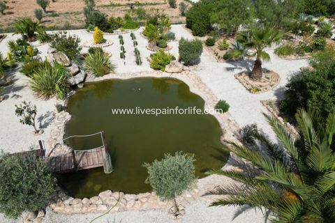 Villa i Pinoso, Alicante, Pinoso - € 649.950 | Ref: HVH-496541 - foto 10