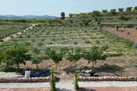 Villa i Pinoso, Alicante, Pinoso - € 649.950 | Ref: HVH-496541 - foto 13