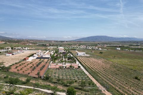 Villa i Pinoso, Alicante, Pinoso - € 649.950 | Ref: HVH-496541 - foto 14
