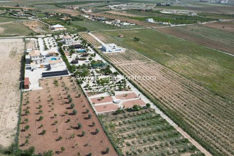 Villa i Pinoso, Alicante, Pinoso - € 649.950 | Ref: HVH-496541 - foto 15