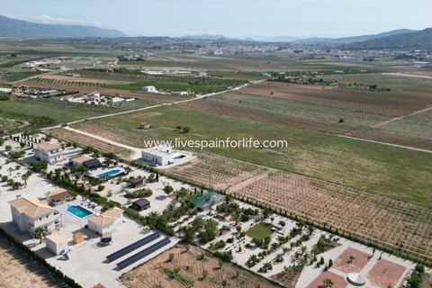 Villa i Pinoso, Alicante, Pinoso - € 649.950 | Ref: HVH-496541 - foto 16