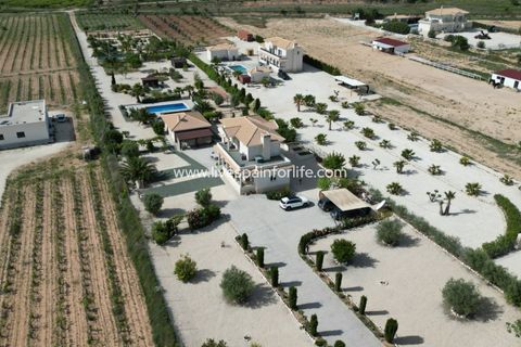 Villa i Pinoso, Alicante, Pinoso - € 649.950 | Ref: HVH-496541 - foto 18