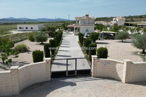 Villa i Pinoso, Alicante, Pinoso - € 649.950 | Ref: HVH-496541 - foto 19