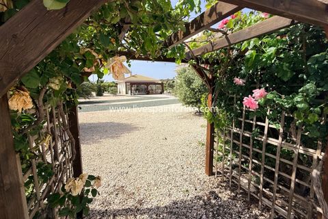 Villa i Pinoso, Alicante, Pinoso - € 649.950 | Ref: HVH-496541 - foto 24