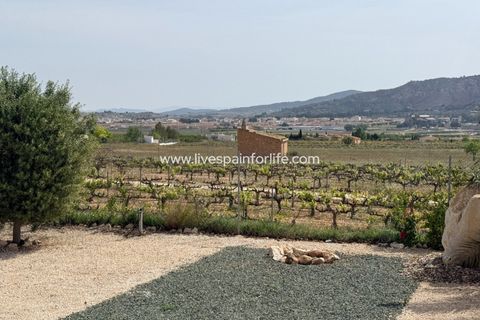 Villa i Pinoso, Alicante, Pinoso - € 649.950 | Ref: HVH-496541 - foto 31