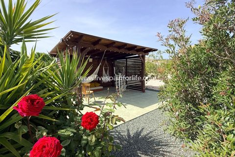 Villa i Pinoso, Alicante, Pinoso - € 649.950 | Ref: HVH-496541 - foto 45