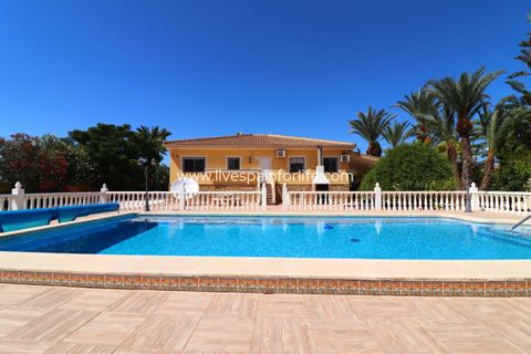 Landejendom i Catral, Alicante, Catral - € 375.000 | Ref: JLM55648-D - foto 2