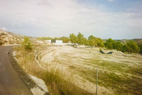 Terra a Aspe, Alicante, Aspe - € 100.000 | Ref: ASPE JOSE-D - foto 4