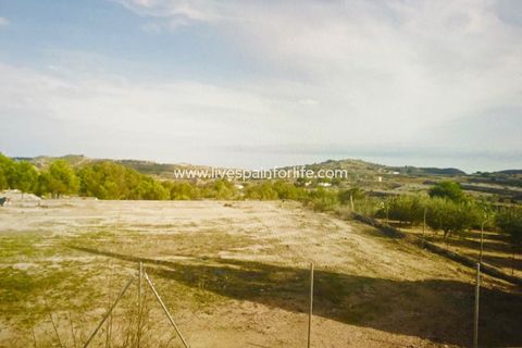 Terra a Aspe, Alicante, Aspe - € 100.000 | Ref: ASPE JOSE-D - foto 5