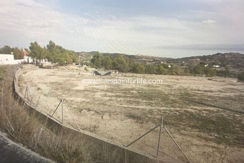 Terra a Aspe, Alicante, Aspe - € 100.000 | Ref: ASPE JOSE-D - foto 6