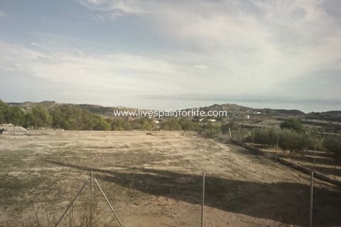 Terra a Aspe, Alicante, Aspe - € 100.000 | Ref: ASPE JOSE-D - foto 12