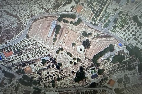 Terra a Aspe, Alicante, Aspe - € 100.000 | Ref: ASPE JOSE-D - foto 13