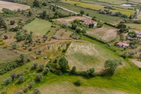 Terra a Belmonte, Castelo Branco, Belmonte - € 42.500 | Ref: 111260096 - foto 2