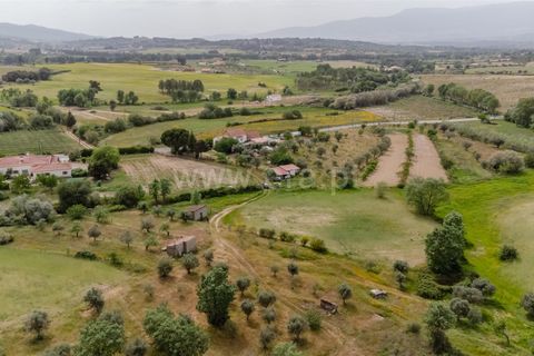 Terra a Belmonte, Castelo Branco, Belmonte - € 42.500 | Ref: 111260096 - foto 3