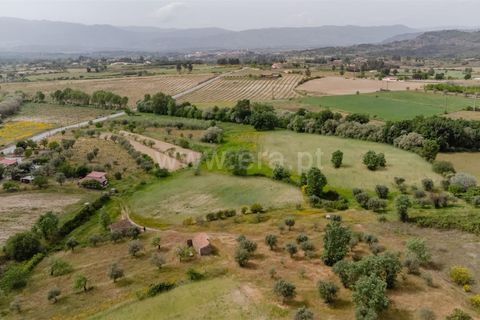 Terra a Belmonte, Castelo Branco, Belmonte - € 42.500 | Ref: 111260096 - foto 4