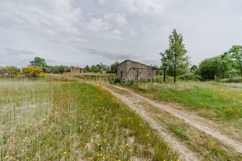 Terra a Belmonte, Castelo Branco, Belmonte - € 42.500 | Ref: 111260096 - foto 5