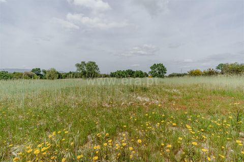 Terra a Belmonte, Castelo Branco, Belmonte - € 42.500 | Ref: 111260096 - foto 6
