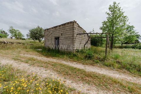 Terra a Belmonte, Castelo Branco, Belmonte - € 42.500 | Ref: 111260096 - foto 7